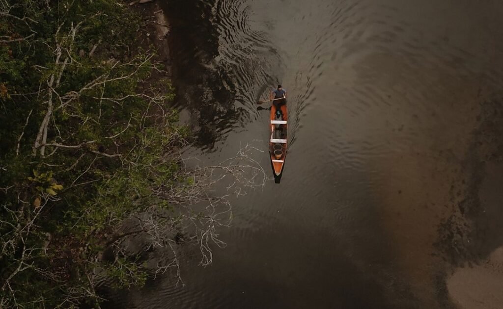 Bioconhecimento e inovação na Amazônia estão conectados? Webinar gratuito abre o diálogo